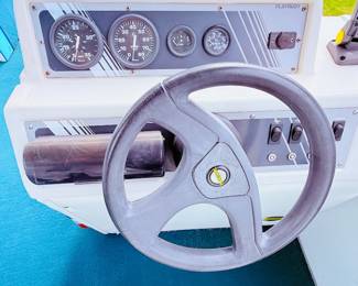 1998 Playbouy Pontoon Boat 24’ with galvanized steel trailer