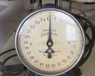 American Family Scale