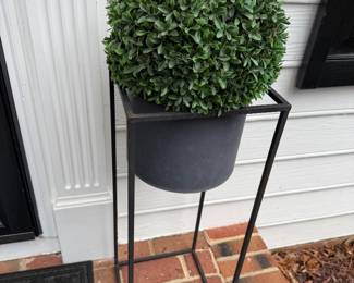 Outside plant and holder