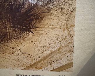 Number 154/500