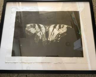 Ron Tarver (American 1957 -) 'Danaus Plexippus' silver gelatin print 1/15