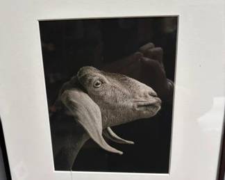 Kevin Horan framed photo