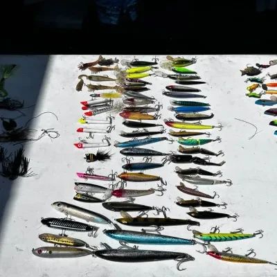Huge Hard Bait & Crankbait Lot – Heddon, Rapala, Stickbaits & Poppers