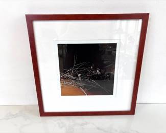 Lot 7275 Wendy Burton Bird Nest Photography Art