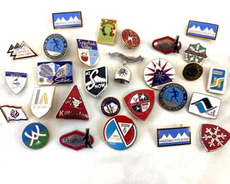 Lot 7496 Vintage Enamel Skiing Souvenir Pins New England More