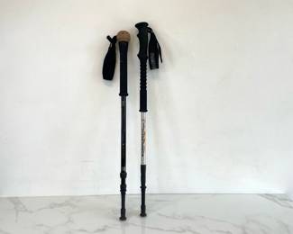 Lot 7212 Komperdell Walking Sticks
