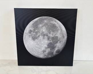 Lot 7274 Super Blue Moon Photography Art on Canvas