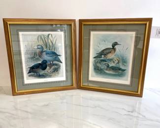 Lot 7039 Vintage Blue Brown Duck Art Prints