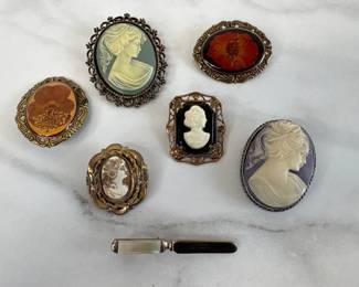 Lot 7306 Vintage Cameo Dried Flower Brooches Costume Jewelry