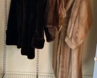 Beautiful Furs