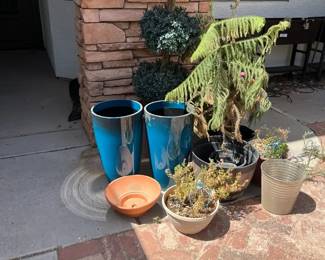 Faux Ficus And Mystery Pot Lot