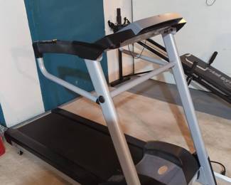 Life Span Treadmill