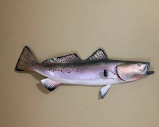 Trout