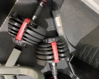 Bowflex Dumbbells