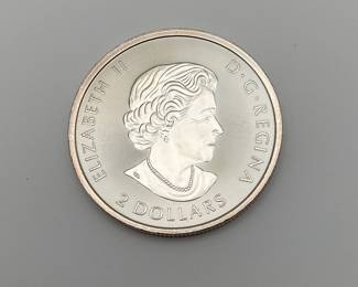 Canadian $2 Polar Bear Silver Round