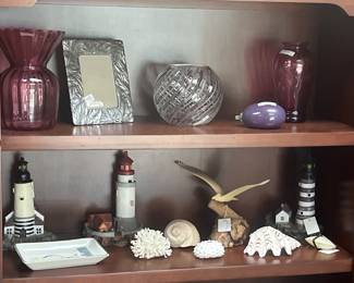Sea shells, coastal