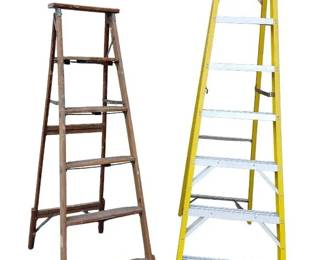 Pair Of Versatile Step Ladders