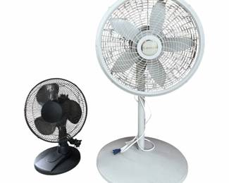 Pair Of Oscillating Fans