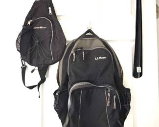 Eddie Bauer, L.L. Bean Bags