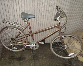 Vintage Bicycle Schwinn Mirada