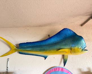 Life size replica Mahi-Mahi also known as the Bull Dolphin Fish