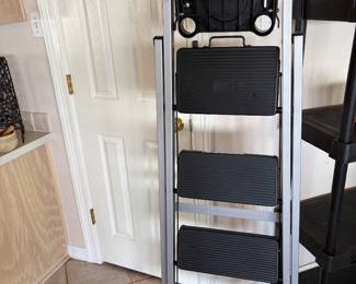 Skinny Mini Ladder (like new)