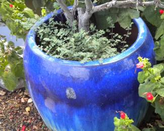 NICE pots