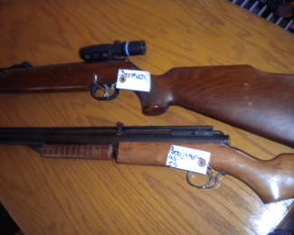 Beeman and Benjamin pellet rifles