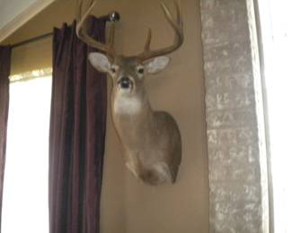 Oh deer!!! 4 mounts available