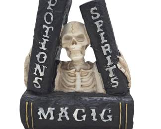 Skeleton-Themed Figure with Book Motif