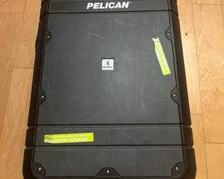 Pelican 1650 Case