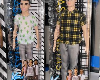 Ken Fashionistas Doll Collection (In Original Package!)