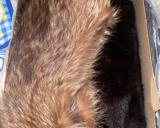 Fur Shawls