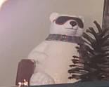 CocaCola Bear