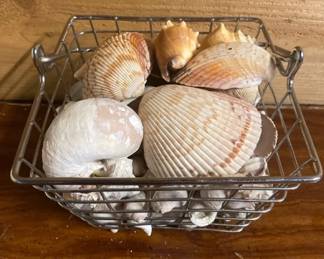Basket Of Various Shells