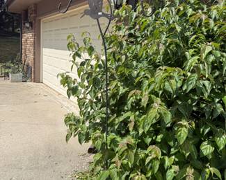 Outdoor Decor