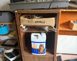 Kitty Litter 