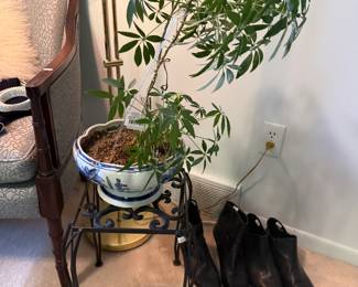 Dwarf Umbrella Tree Plant, Plant Stand, Shoes 