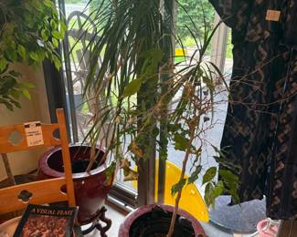 Plants 