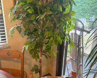 4 Thomasville Kitchen Chairs, Plants