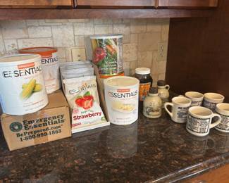 Survival Food