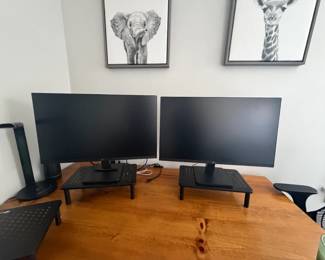 Pair of LG Computer Monitors