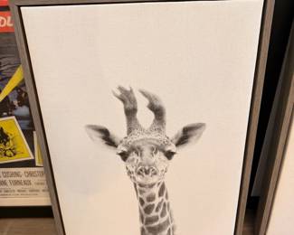 Framed Baby Giraffe Canvas Print