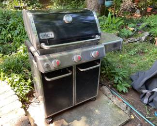 Weber Special Edition Genesis Gas Grill