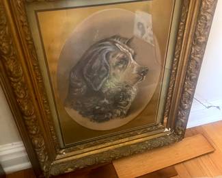 vintage dog with frame