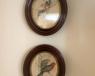 bird prints