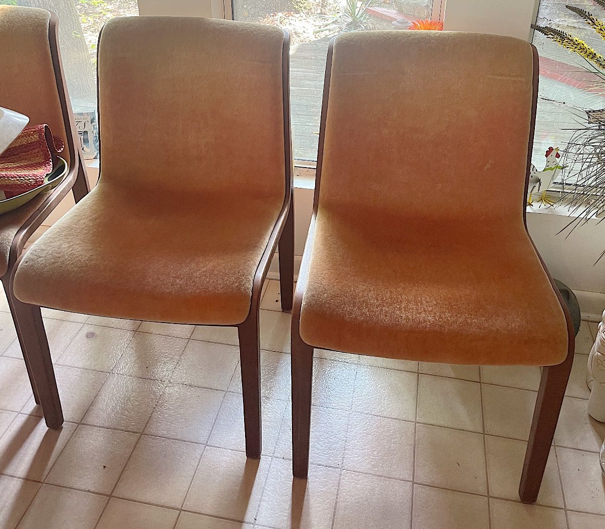 Knoll International MCM Bentwood Teak Chairs