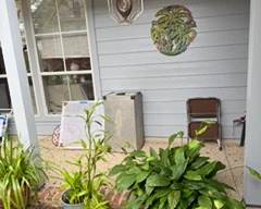 Outdoor Plants and Decor