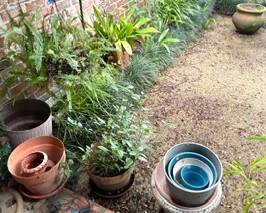 Plants, Shepherd's Hooks, and Planting Pots all around the patio