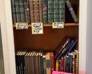 Lots of classic books and adding more!